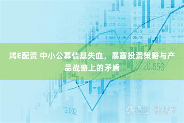 鸿E配资 中小公募债基失血，暴露投资策略与产品战略上的矛盾