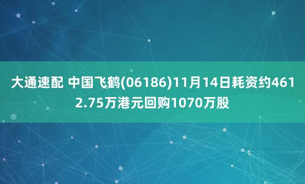 大通速配 中国飞鹤(06186)11月14日耗资约4612.75万港元回购1070万股