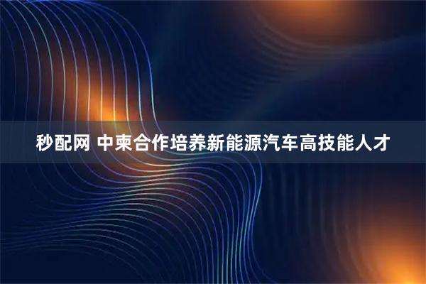 秒配网 中柬合作培养新能源汽车高技能人才